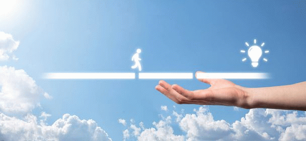 18 نکته کلیدی در تغذیه طوطی ملنگو: همراه با معرفی 8 منبع غذایی فوق العاده!