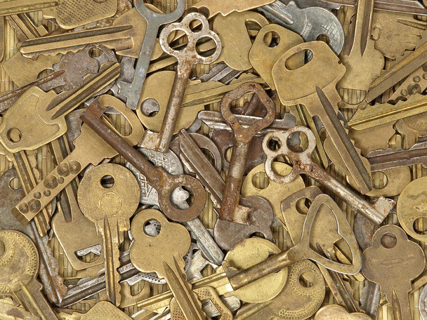 تولید ویدیوهای آموزشی؛ مسیر موفقیت مالی