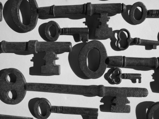 راز موفقیت در کسب درآمد از اینستاگرام: 7 کلید طلایی، پاسخ به سوالات متداول و چالش‌ها